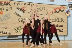 Spectacle_2017_026