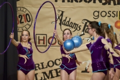 Spectacle_2017_107