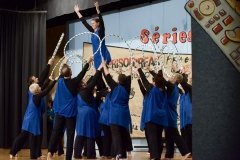 Spectacle_2017_120