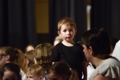 Spectacle_2017_141