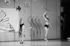 21_22.03.2025_FSGEchallens_74